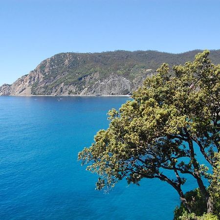 Affittacamere Irene Monterosso al Mare Exterior photo